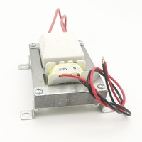 Transformateur Flyback Haute Tension Tianyi HJ 3000V H-V 30W à Noyau en Acier Silicium, Sortie Unique, pour Lampe Insecticide et Audio 50/60Hz