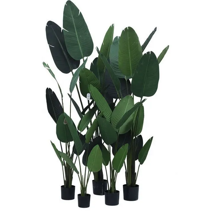 XQ-5276 Künstliche tropische Pflanzen 6ft /5ft /4ft Traveller Palm Bananen baum für Büro Green scape Dekoration