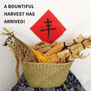 Tai gạo tự nhiên, hoa khô, gạo, tai lúa mì, lúa miến, trang trại vui vẻ, trang trí mẫu giáo, Mặt dây chuyền sân - Product Image 5