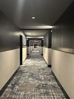 Moquette imprimée en nylon/polypropylène pour hôtels et complexes, rouleau de moquette d'intérieur à poils longs, réversible, antidérapante, séchage rapide