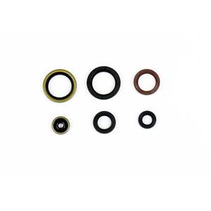 Kit de juntas de aceite - Product Image 1