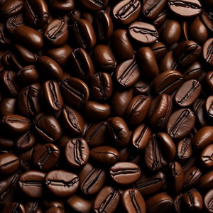 โรบัสต้า/อาราบิก้ากาแฟคั่วเมล็ดกาแฟผลิตในเวียดนาม - Product Image 5