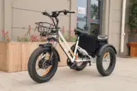 Bicicleta elétrica de pneu gordo 750w, trike 20 "* 4.0 polegadas, entrega de carga, triciclo elétrico, 3 rodas, bicicleta elétrica para desbloqueado