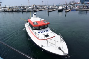 Grandsea 15m 49FT <span class=keywords><strong>Barca</strong></span> Pilota Marina in Vetroresina per Porto in Vendita - Product Image 2