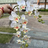 Nouvelles fleurs artificielles d'orchidée Phalaenopsis imprimées en 3D, 2 tiges, toucher réaliste, pour décoration de mariage, de remise de diplôme et de maison