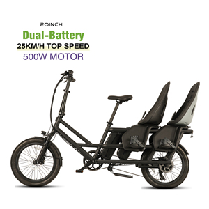 A basso costo <span class=keywords><strong>bici</strong></span> <span class=keywords><strong>elettrica</strong></span> <span class=keywords><strong>cargo</strong></span> 48 v500w doppia batteria Li - Product Image 1
