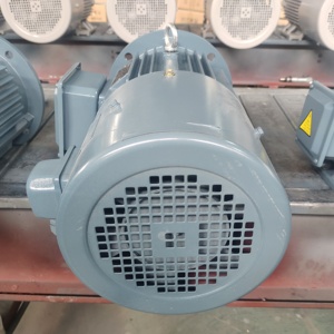 Tùy chỉnh IEC tiêu chuẩn 3 pha không đồng bộ AC động cơ cảm ứng công nghiệp động cơ điện với biến tần số biến tần - Product Image 5