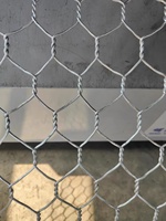 Grillage hexagonal en acier galvanisé par 0.8mm pour la clôture de poulet de ferme