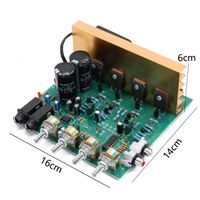 OK100W çift 100W DIY ses mikrofon ile elektrik panosu yeni 2.0 kanal ev amplifikatör elektronik bileşen
