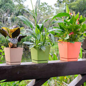 Plateau rond moderne en plastique PP auto-arrosant BRICE <span class=keywords><strong>pour</strong></span> plantes d'intérieur et succulentes - Product Image 4