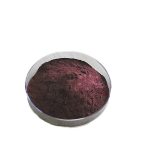 アントシアニジン純正ビルベリーフルーツエキス,25% ビルベリーフルーツエキス粉末 - Product Image 2