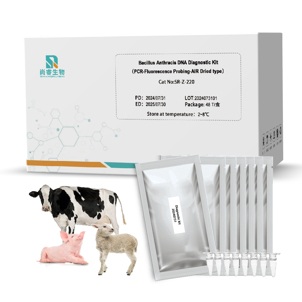 Набор для диагностики Bacillus anthracis DNA (PCR-флуоресцентный зондирующий-высушенный тип)