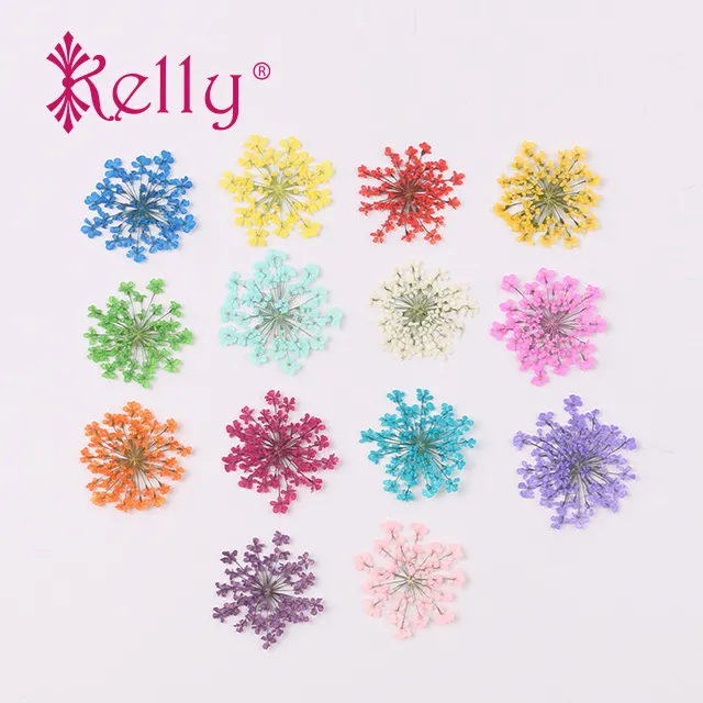 3D Dried Flowers for Nails Dried Flowers for Resin Nail Craft Art Accessories Pressed Dried Flower Nail Art Decoration