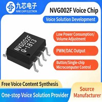 NVG002F NVG004F Chip de Reproducción de Audio de Bajo Costo, Fabricante de Chips de Reproducción de Voz