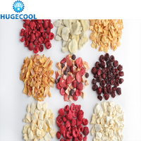 Middelgrote Mini Vacuüm Vriesdroger Te Koop Industriële Commerciële Vriesdroger Machine Voor Voedsel Vlees Fruit 5Kg 10Kg 100Kg, Enz