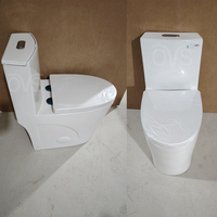 WC monobloc pour salle de bain, homologué CUPC, WaterSense, ADA, à double chasse siphonique 4L/6L, avec installation encastrée de 12 pouces, coloris Blanc, Gris, Noir