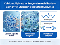 ZEAL Stabilisateurs et épaississants d'alginate de calcium de qualité supérieure |   CAS 9005-35-0 |   Qualité alimentaire/pharmaceutique |   Poudre pour pansement |   Calcium