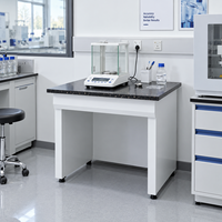 Meubles de laboratoire, banc de pesage de laboratoire avec plan de travail à isolation vibratoire pour balance analytique
