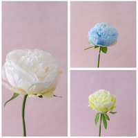 Bunga Peony buatan 32cm, bunga Peony sutra tunggal gaya Modern warna-warni untuk dekorasi pernikahan rumah Hari Ibu