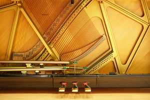 Venta al por mayor Instrumentos musicales Piano clásico Yahama para niñas - Product Image 5