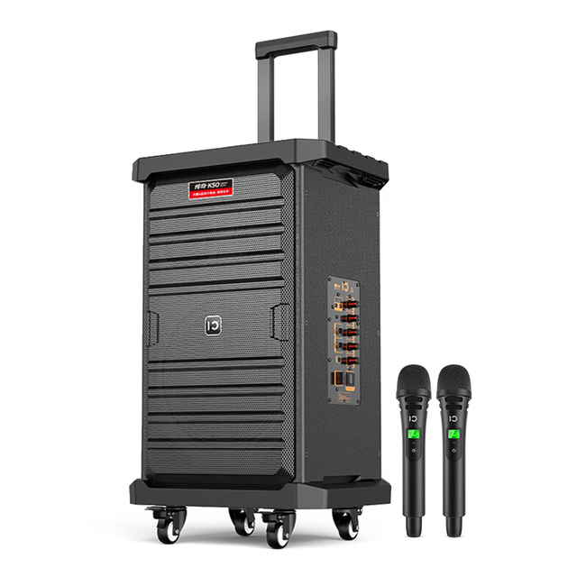 10 Inch Bluetooth Portable Trolley Loud Speaker for Karaoke Player/Outdoor/Party
