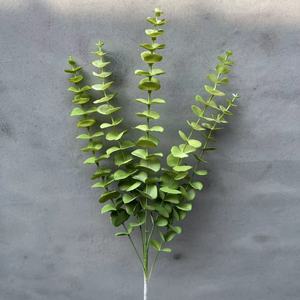 <span class=keywords><strong>5</strong></span> ramas boda artificial largo tacto real eucalipto flor hoja Rama - Product Image 4