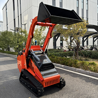 Pengiriman Gratis Mini Skid Steer Loader EPA Euro 5 CE Hydraulic Compact Track Loader untuk Pertanian dan Konstruksi