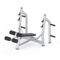 Presse à pectoraux inclinée professionnelle, machine de musculation commerciale pour la partie inférieure du torse, support de rangement robuste pour plaques de poids, équipement de fitness pour salle de sport