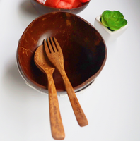 Juego de Cuencos de Coco Pulidos Hechos a Mano y Cucharas de Madera Naturales para Yogur y Smoothies, Cuencos Saludables de Cáscara de Coco Estilo Buda