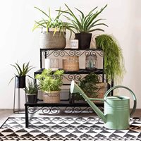 Support à plantes à étages en métal pour l'extérieur, 3 niveaux, pour plusieurs plantes, étagère à plantes en pot, support d'étagère intérieur, porte-pots et jardinières