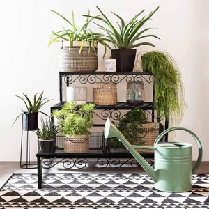 Soporte de Metal para Plantas de Exterior de 3 Niveles, Soporte para Múltiples Plantas, Estante para <span class=keywords><strong>Macetas</strong></span> de Interior, Soporte para <span class=keywords><strong>Macetas</strong></span> y Jardineras - Product Image 2