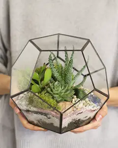 مجموعة أدوات التراريوم ذات الشكل الهندسية مصنوعة من الزجاج المصغر يمكنك صنعها بنفسك للنباتات الهوائية وعصارة غراس