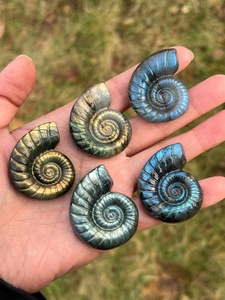 Figura de Concha de Caracol Pulida al por Mayor, Totem Anka, Cruz Ansata, Arte Folclórico, Feng Shui, Decoración del Hogar, Cristal de Sanación Reiki - Product Image 2
