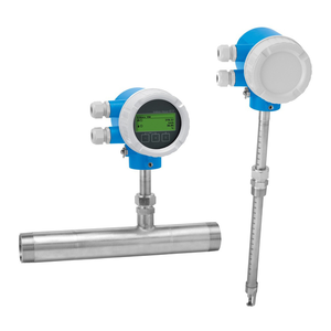 Medidor de Flujo E+h Proline T150, Medidor de Flujo Másico Térmico Endress Hauser, Medidor de Flujo t Mass 150 - Product Image 1