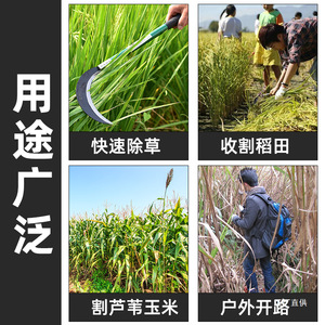 Hoz Xiaojunxia de 18.5cm con Hoja de Acero de Doble Filo para Uso Agrícola y en Exteriores - Product Image 4