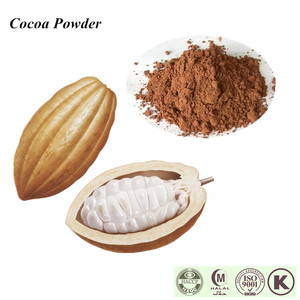 中国工場カカオエキステオブロミンカカオエキス - Product Image 2