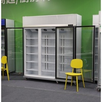 Réfrigérateur Vitrine Verticale 3 Portes pour Bières et Boissons avec Compresseur Haut de Gamme