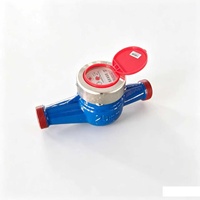Durable Brass Casing Digital Water Meter with High Accuracy Measurement IP68 Rated DN15 Size OEM Available