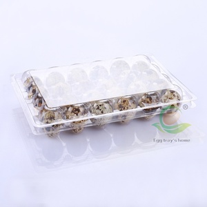 24 holes plastic quail egg tray PET quail egg cartons plastic Free Shipping