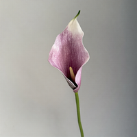 Realistische PU Weiße Calla-Lilien Künstliche Blumen 60 cm für Hochzeit Weihnachten Neujahr Chinesisches Neujahr Heimdekoration - Moderner Stil