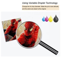 Nueva Impresora UV DTF de Cabezal Doble/Simple con Efecto Barniz, Impresora UV Plana de Formato Pequeño A3 de Alta Calidad, Tinta UV, 1 Año de Garantía