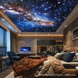 LED Fiber Optic <b>Lights</b> 1.0mm Diameter Starry Sky Ceiling Lighting For Bedroom Living Room Home Theater With European <b>Plug</b> - Product Image 4