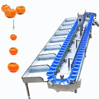 Automatische milieuvriendelijke sorteermachine voor groenten en fruit met sensortechnologie