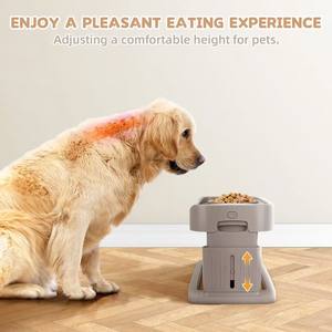 Köpekler için 2025 yeni ayarlanabilir yükseklik çift kaseler koruma servikal omurga yükseltilmiş köpek paslanmaz çelik Logo ile iki kaseler - Product Image 3