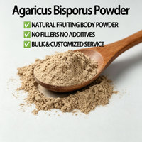 Bulk Agaricus Bisporus poeder, witte champignonspoeder, natuurlijk vruchtend poeder voor voedingssupplementen, grondstof