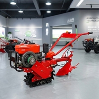 Motoculteur diesel antidérapant à conducteur marchant, mini-tracteur avec plusieurs accessoires pour la plantation de cultures racinaire