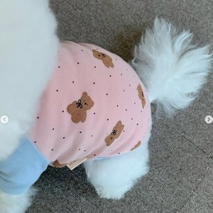 Gilet pour chien rose et bleu à pois imprimé ours, respirant, pour toutes les saisons, vêtements pour petits chiens - Product Image 4