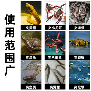 Pinces à anguilles en acier inoxydable Kyushu Garden, à mâchoires larges, droites et courbées, antidérapantes, outil de pêche pour anguilles, loches, crabes, homards - Product Image 4