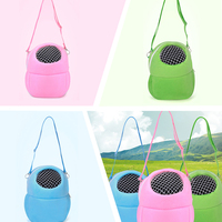 Nouveau Sac de Transport Respirant en Peluche pour Hamster, Sac d'Extérieur Portable et Chaud pour Écureuil Totoro, Écureuil Diable, Écureuil Doré, Ventes Flash