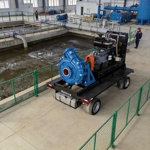 Pompe à boue <span class=keywords><strong>de</strong></span> minerai <span class=keywords><strong>de</strong></span> fer résistante à l'abrasion, horizontale, pour l'exploitation minière, robuste, avec garantie OEM <span class=keywords><strong>de</strong></span> 2 ans - Product Image 5